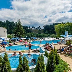 Apartament z 1 sypialnią